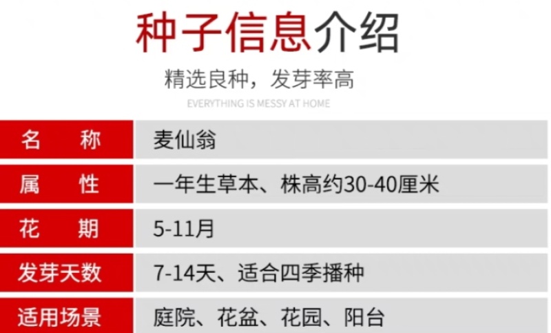 麦仙翁厂家货源批发价格全国发货价格便宜欢迎下单咨询