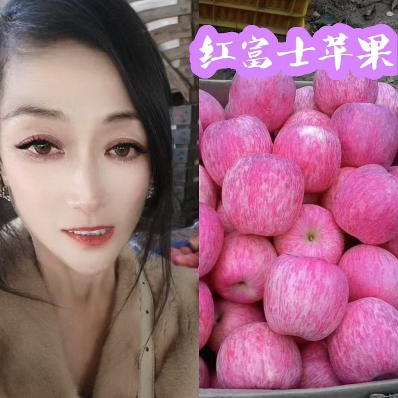红富士苹果价格行情0.5-1.0元！看货定价以质论价