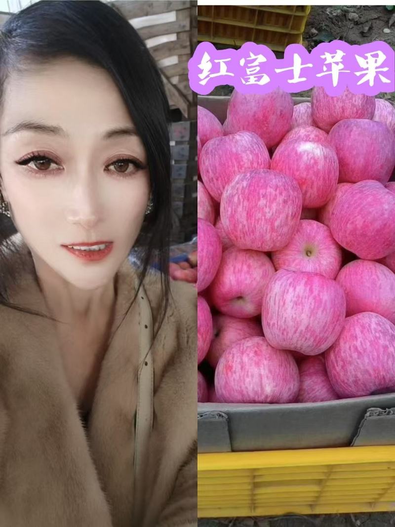 红富士苹果价格行情0.5-1.0元！看货定价以质论价