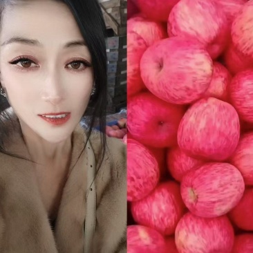 红富士苹果价格行情!跌至低估!无法翻盘!百年难遇!含泪卖