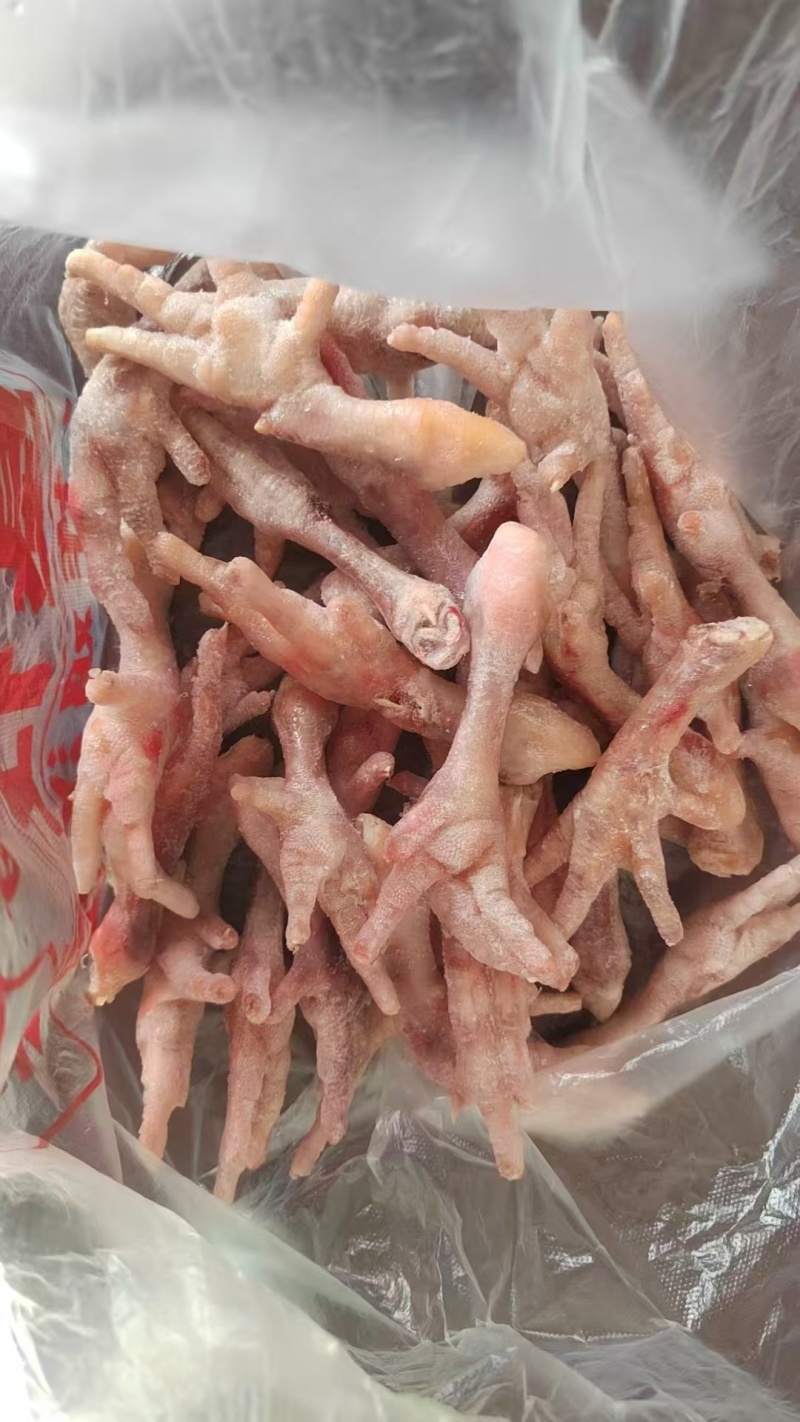鸡爪