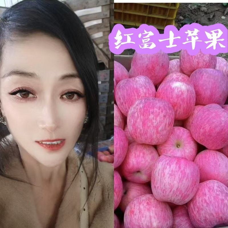 【电商货常年有货】山区红富士苹果以品质畅销全国！以质量生