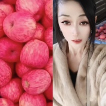 【开始入库】山东膜袋纸袋红富士苹果大量采摘手选货