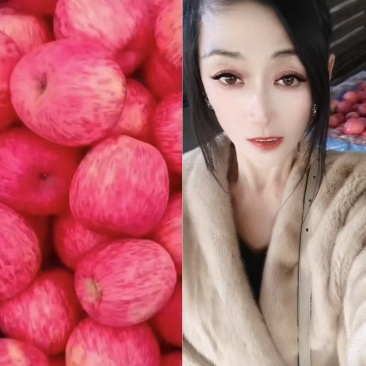 【开始入库】山东膜袋纸袋红富士苹果大量采摘手选货