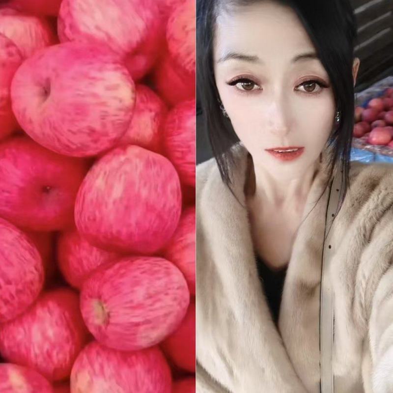 【开始入库】山东膜袋纸袋红富士苹果大量采摘手选货
