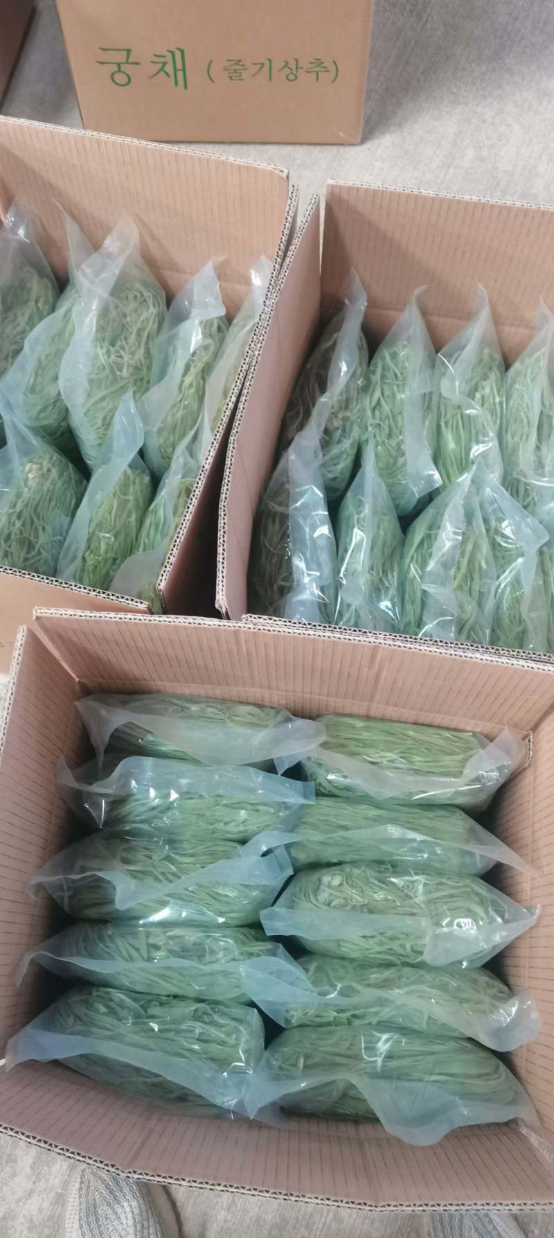 云南楚雄精品贡菜/全年供货/欢迎来电咨询