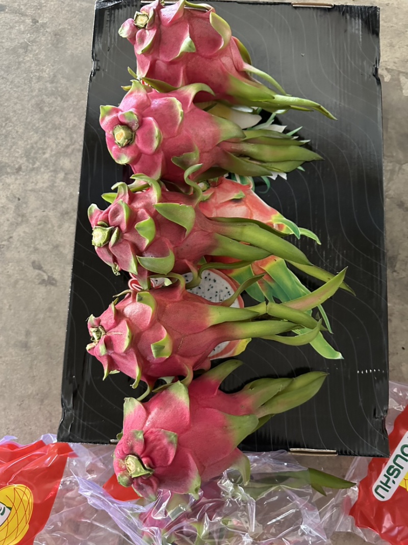 出口，东南亚地区等……国家