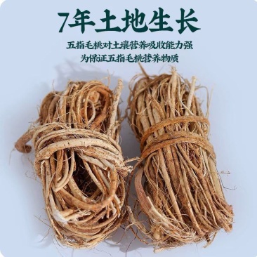 广东汤料五指毛桃药材干货无硫新货煲汤五子毛桃五指毛桃整扎
