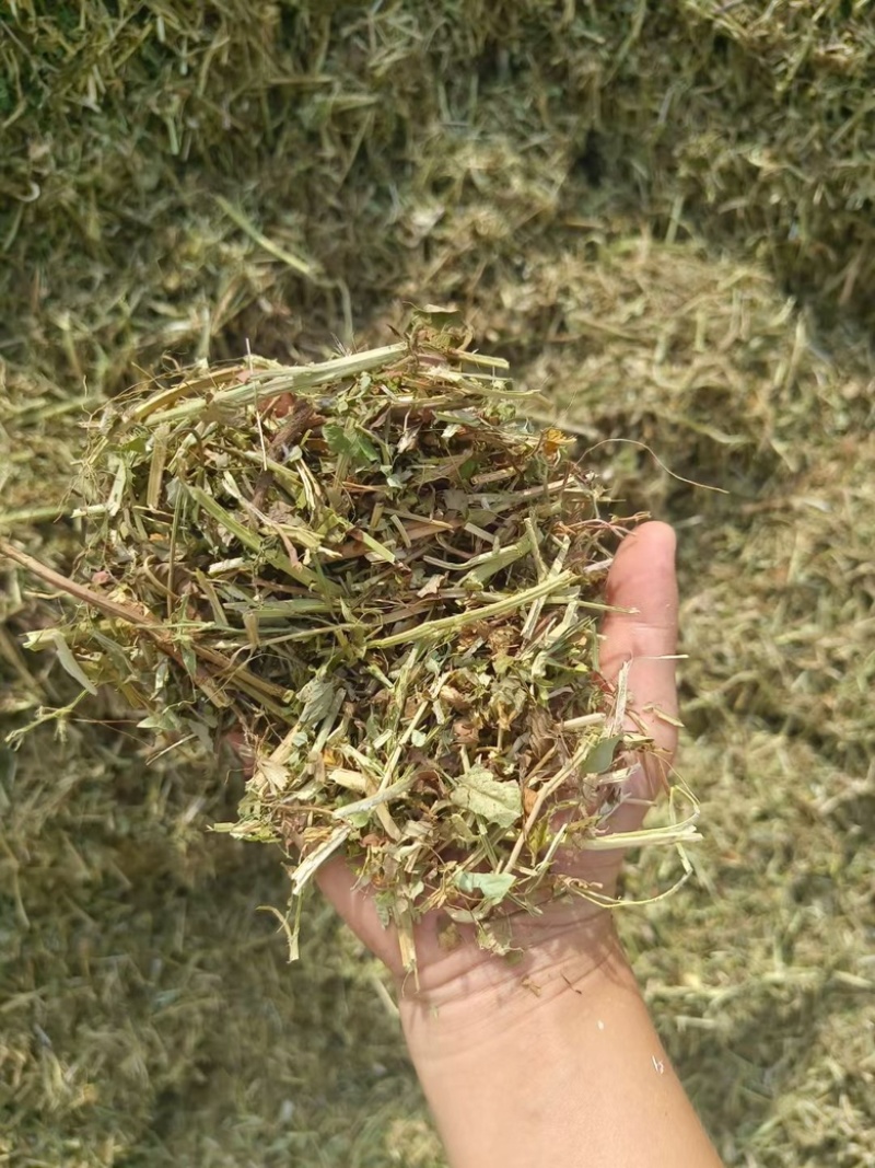 花生秧草段，牛宝，羊草，