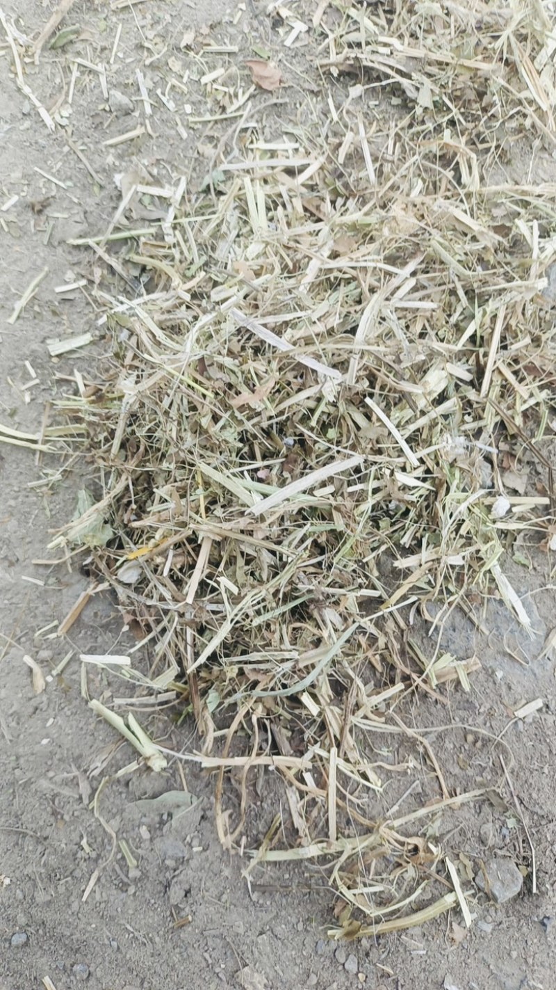 花生秧草段，牛宝，羊草，