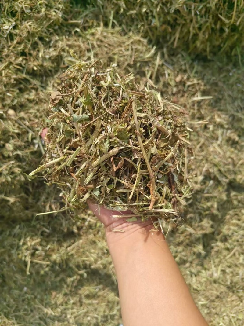 花生秧草段，牛宝，羊草，