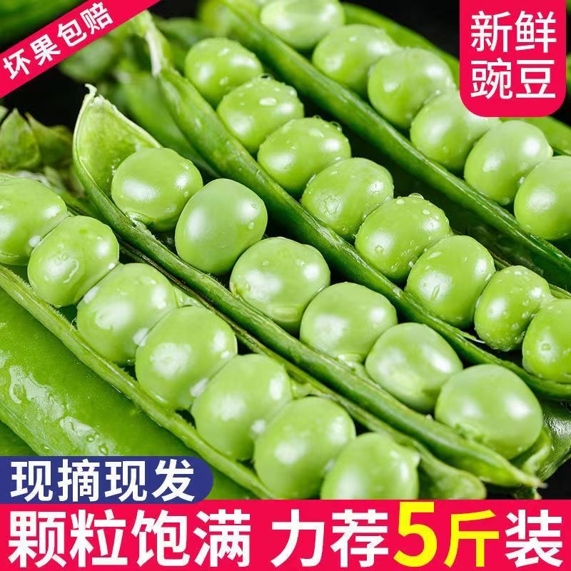正宗云南新鲜豌豆带壳青豌豆荚蔬菜整箱批发价甜