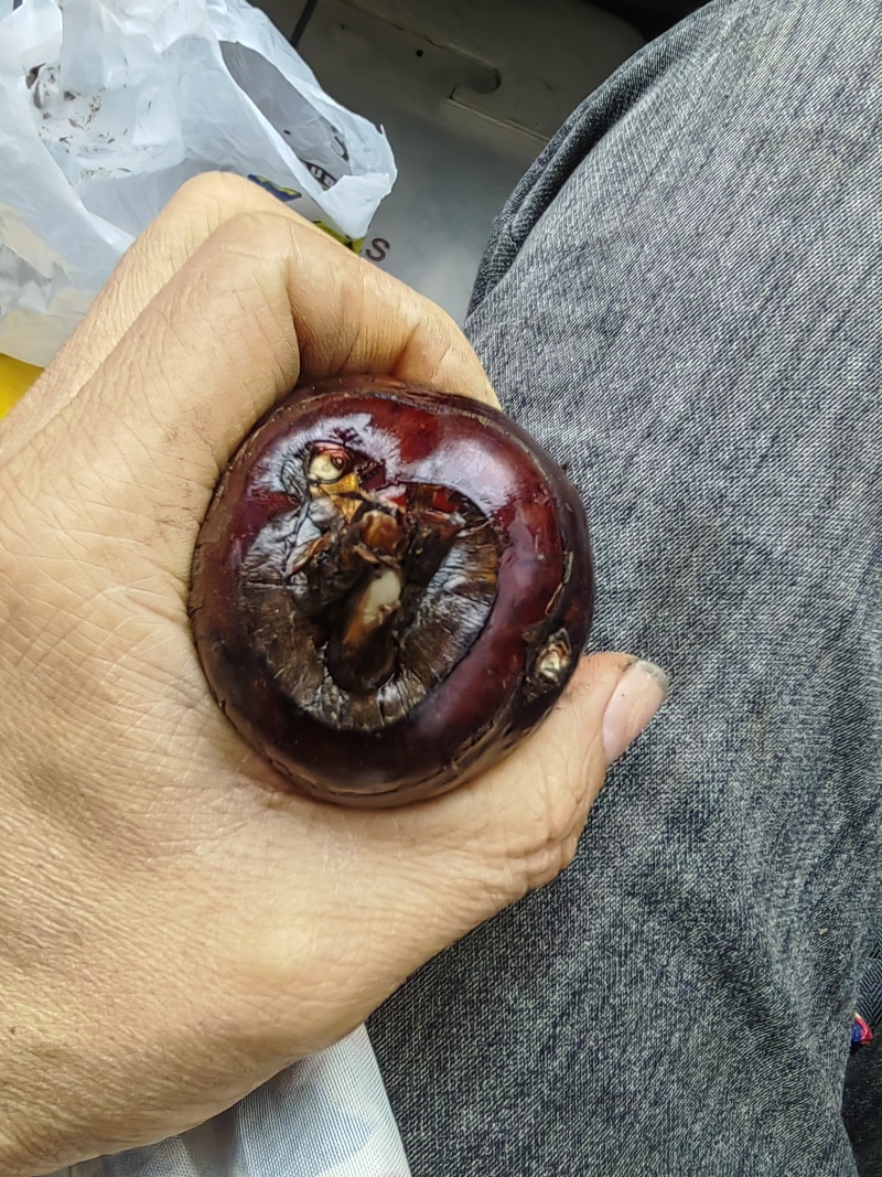万亩基地马蹄荸荠大量批发代办全国精选好货！买贵包退