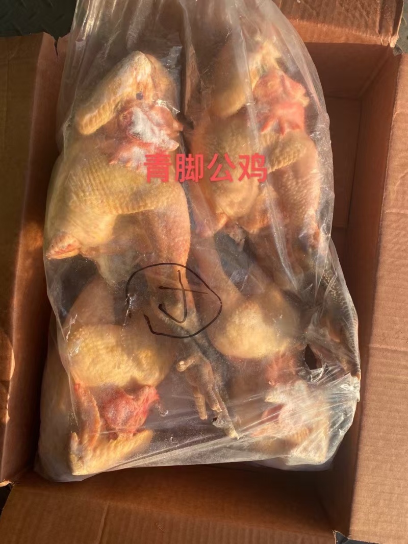 青脚麻公