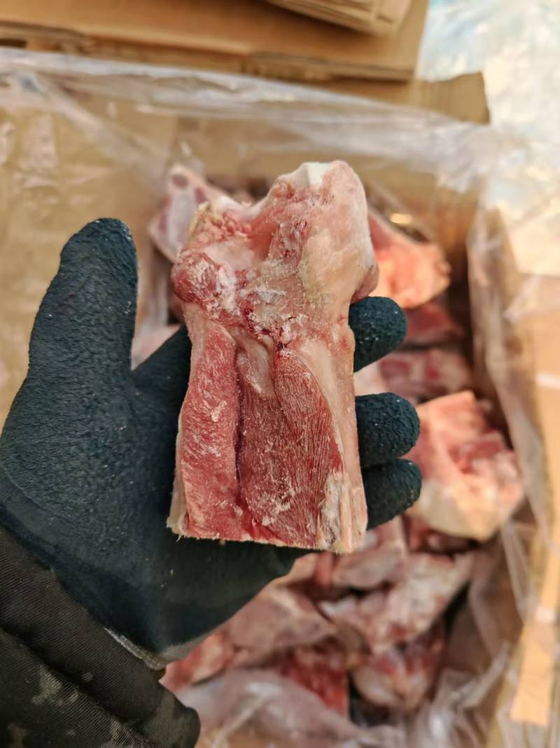 猪后腿骨切块