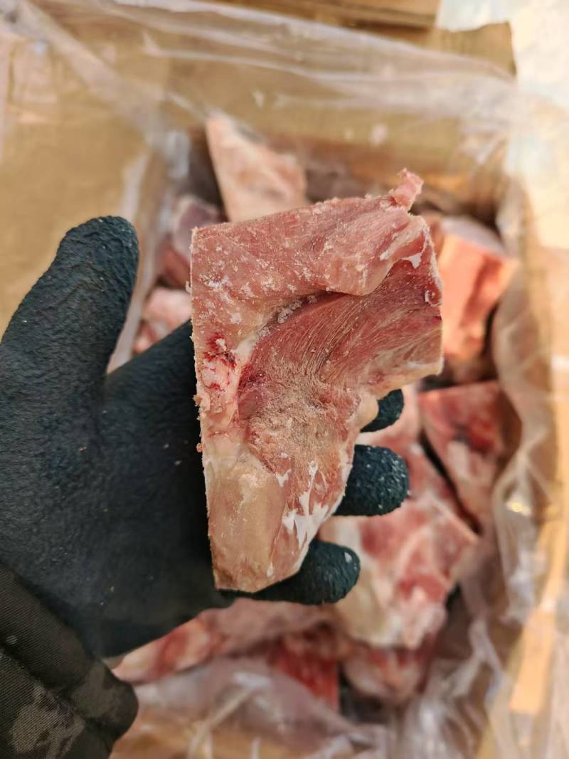 猪后腿骨切块