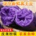 青海特产新鲜黑土豆黑金刚紫色大马铃薯乌洋芋小土豆富含花青