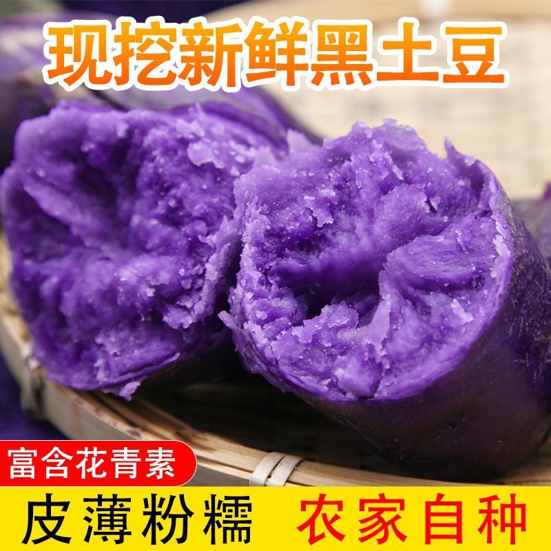 青海特产新鲜黑土豆黑金刚紫色大马铃薯乌洋芋小土豆富含花青