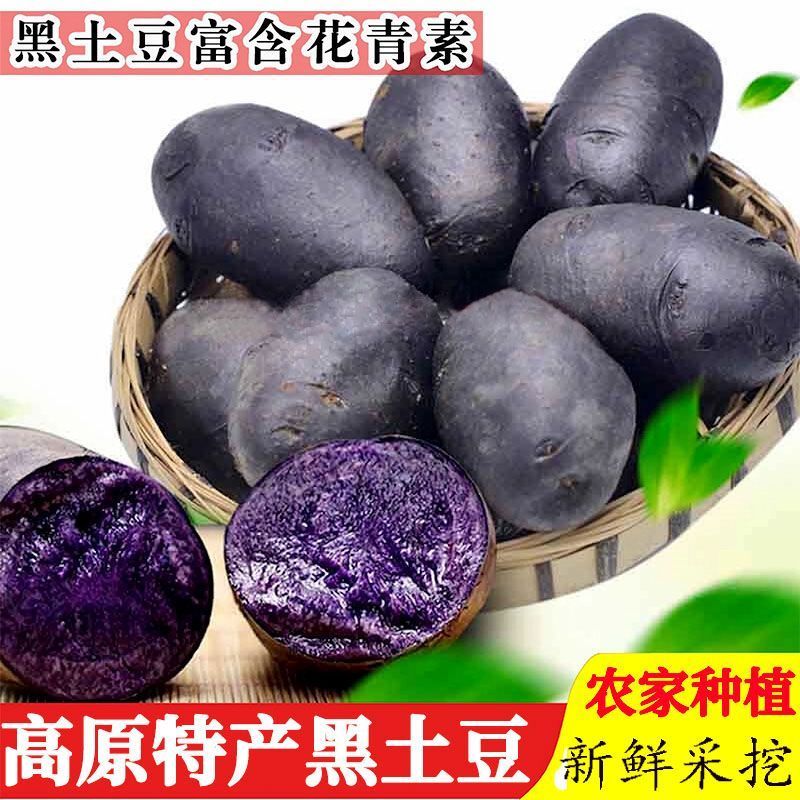 青海特产新鲜黑土豆黑金刚紫色大马铃薯乌洋芋小土豆富含花青