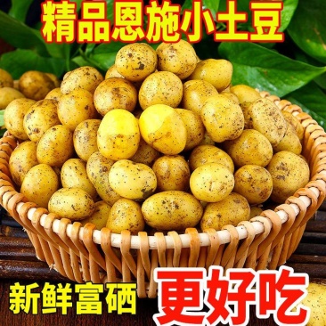 【恩施富硒小土豆】黄皮黄心土豆批发新鲜蔬菜洋芋现挖马铃薯