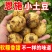 【恩施富硒小土豆】黄皮黄心土豆批发新鲜蔬菜洋芋现挖马铃薯