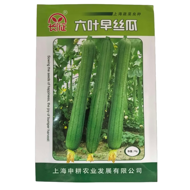 长香丝瓜种子高产耐老丝瓜种子四季南方北方丝瓜籽丝瓜种子