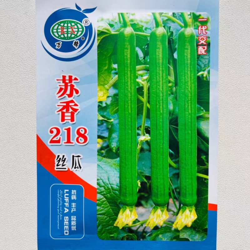 长香丝瓜种子高产耐老丝瓜种子四季南方北方丝瓜籽丝瓜种子