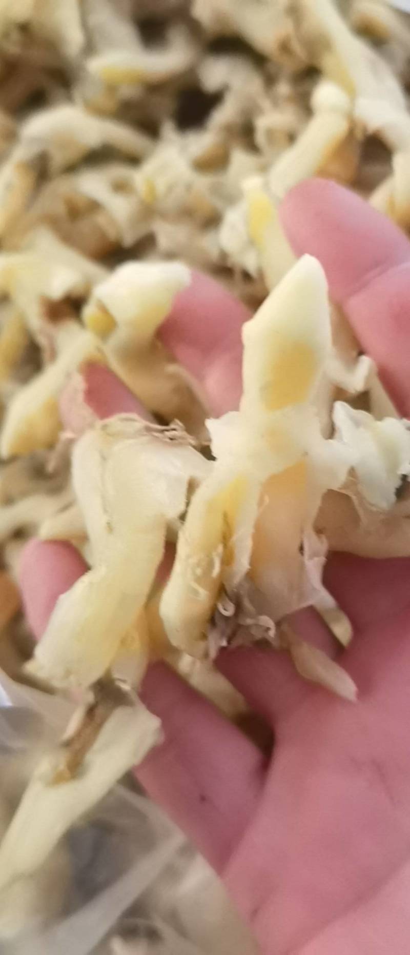 带膏大蛏干竹节蛏干货海蛏子肉无沙竹节蛏海鲜干货干贝蛤蜊干
