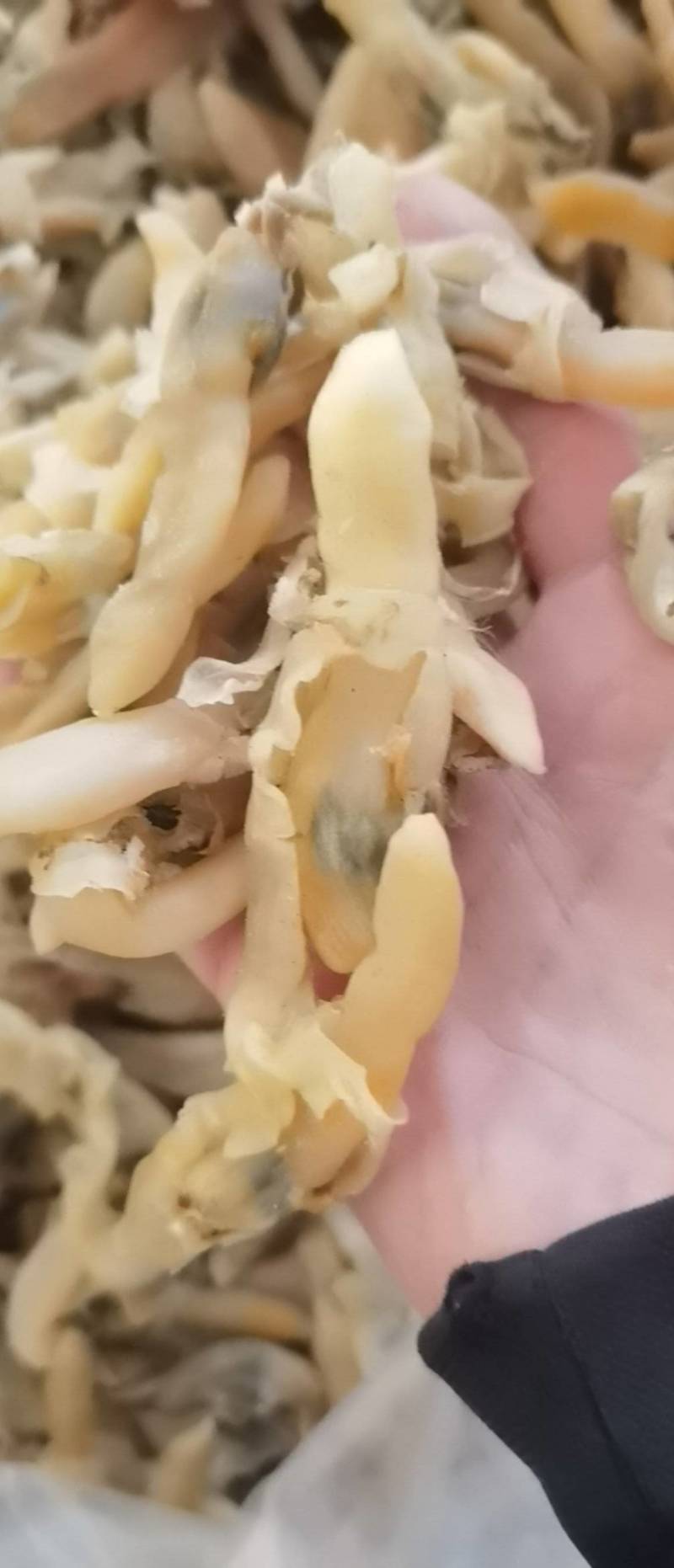 带膏大蛏干竹节蛏干货海蛏子肉无沙竹节蛏海鲜干货干贝蛤蜊干