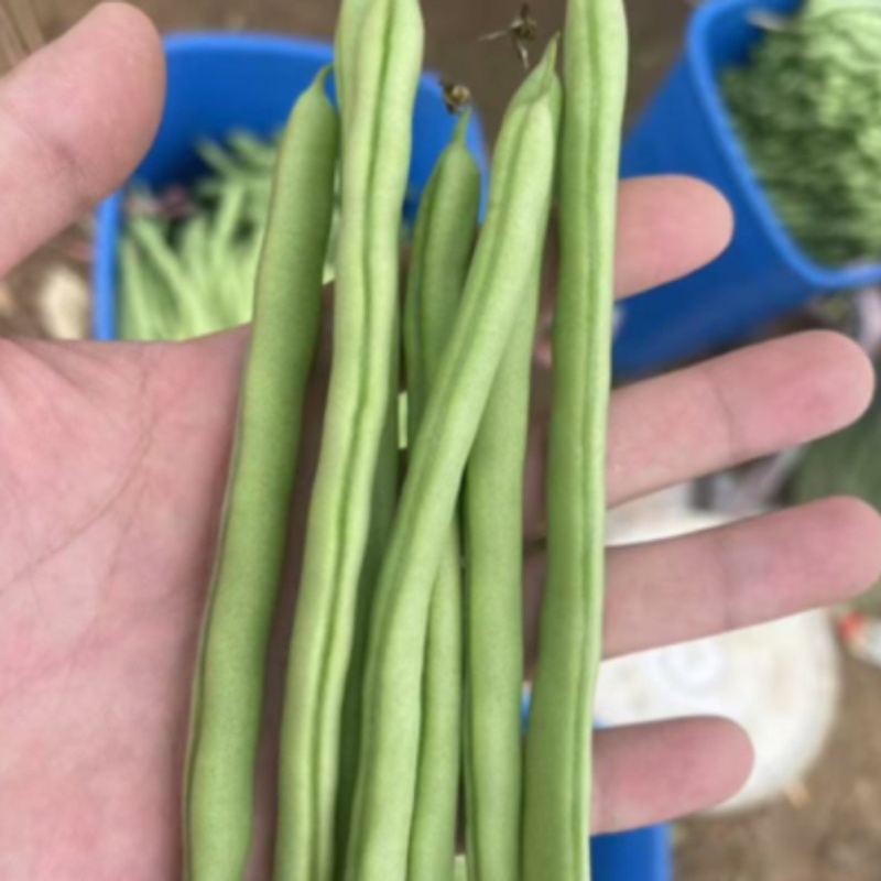 诚信经营，常年合作