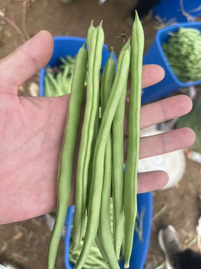 诚信经营，常年合作