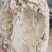 全麦粉两种规格适合饼干粉添加