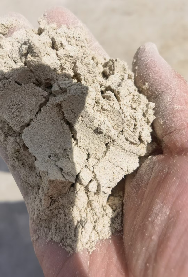 全麦粉两种规格适合饼干粉添加