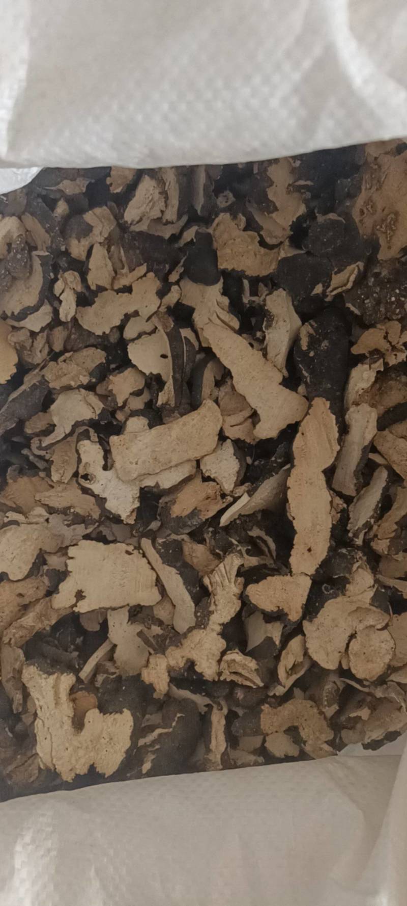 猪苓丹丹中药材批发产地直销，货源充足，品质保证，欢迎选购