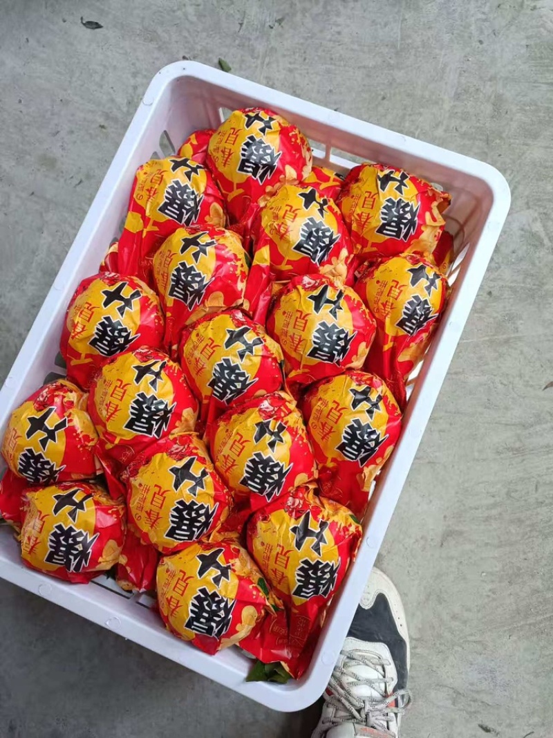 春见耙耙柑产地直发品质保证