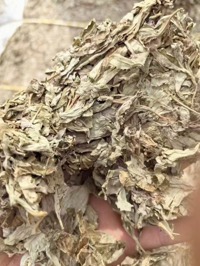 艾柱艾条五年陈艾柱艾灸艾条艾棒艾粒一盒54粒