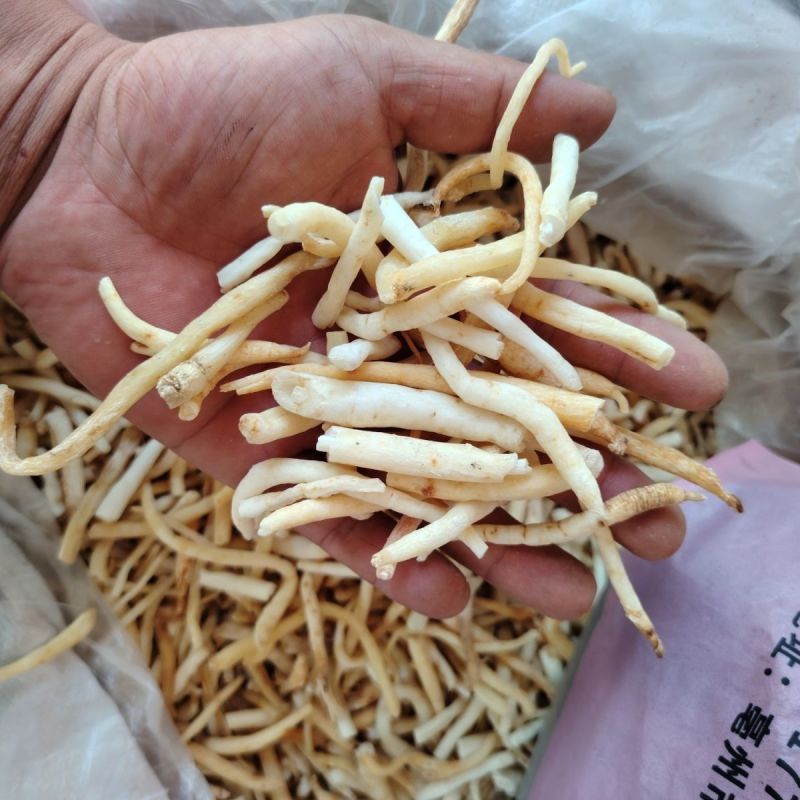 无硫的川明参干货，保质保量支持快递物流，不满意可退货退款