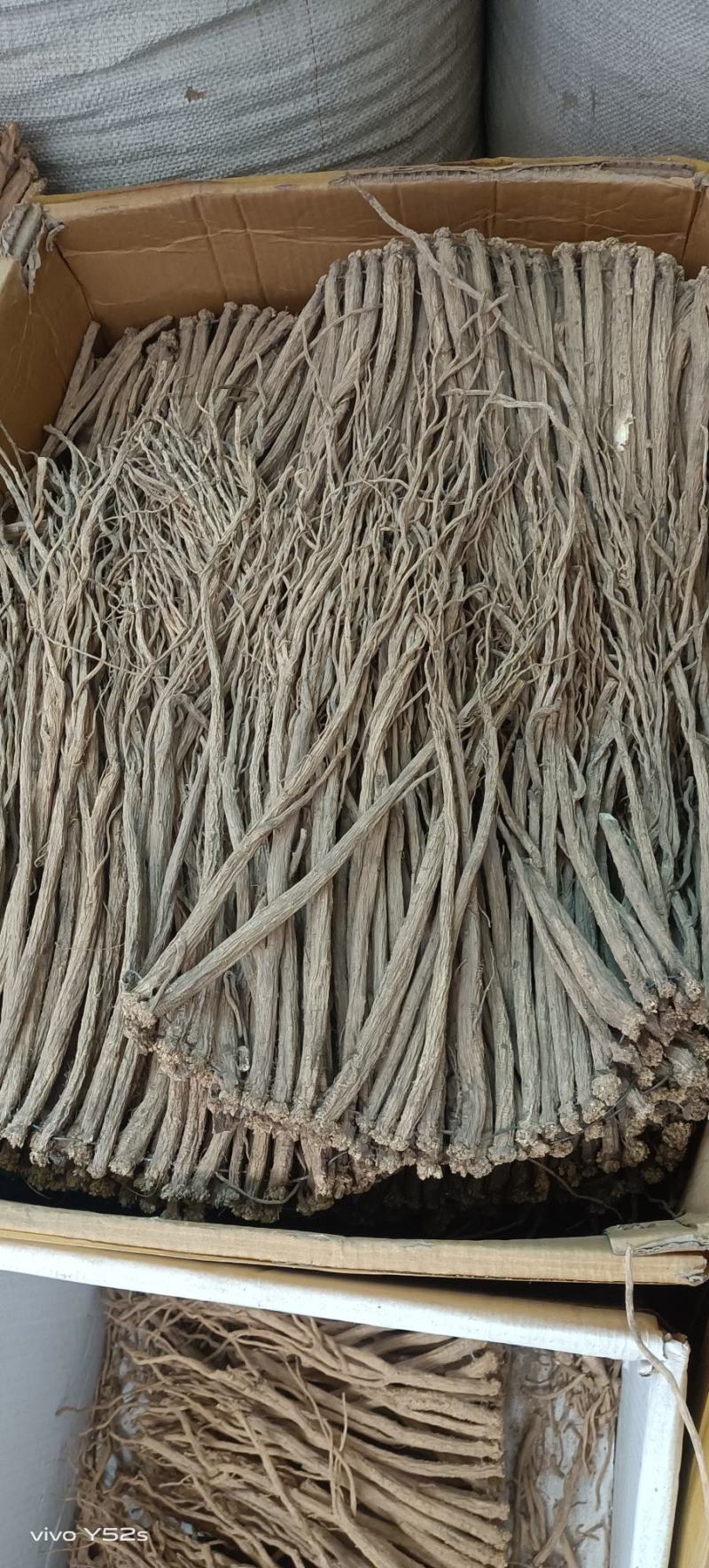 党参条党参片各种规格的党参可代加工打粉压片