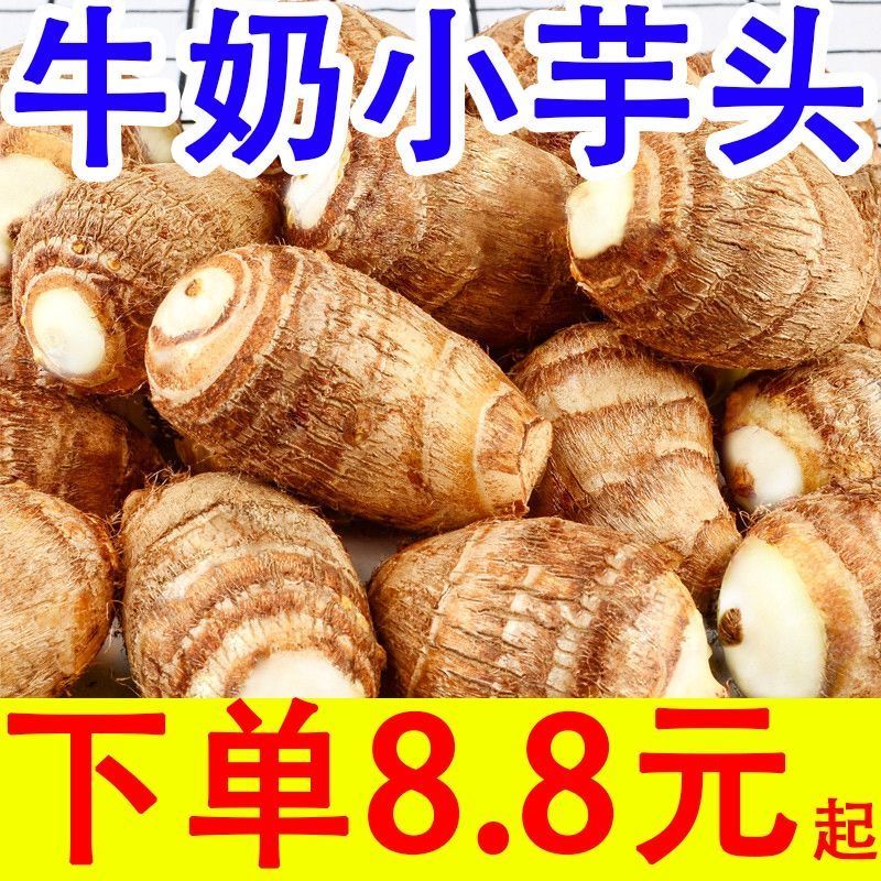 【万人抢购】山东新鲜小芋头毛芋头香芋软粉糯芋艿应季蔬菜包
