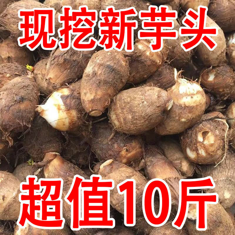 【万人抢购】山东新鲜小芋头毛芋头香芋软粉糯芋艿应季蔬菜包