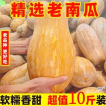 【精品好瓜】云南老南瓜新鲜农家自种宝宝南瓜板栗味包邮蔬菜