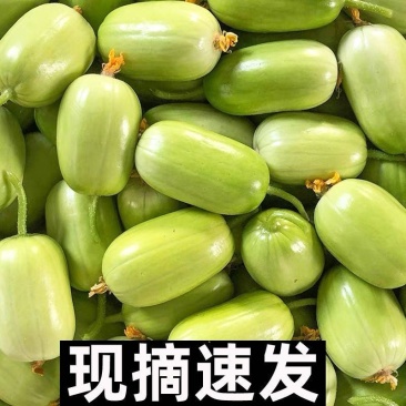玉女水果黄瓜新鲜脆嫩拇指小黄瓜旱白玉青瓜生吃山东蔬菜2斤