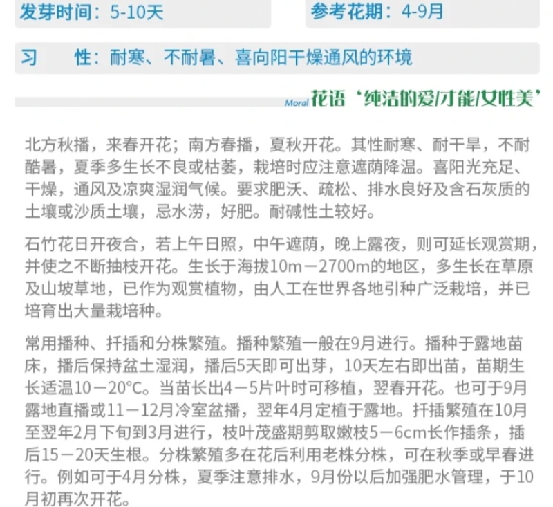 五彩石竹厂家货源批发价格全国发货价格便宜欢迎下单咨询