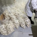 黄骅面花馒头量大发货全国发货质量保证欢迎下单