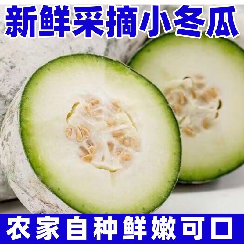 5斤云南新鲜小冬瓜当季小长节白冬瓜露天翠玉嫩东瓜火锅食材