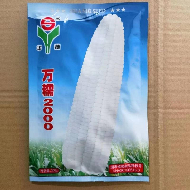 华穗万糯2000玉米种子特大粘玉米棒正宗甜糯玉米种子大棒