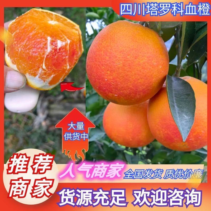 资中塔罗科血橙四川血橙资中血橙产地直供质优价廉