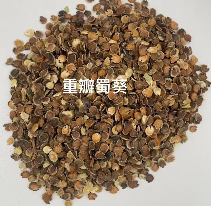 蜀葵种子厂家货源批发价格全国发货价格便宜欢迎下单咨询