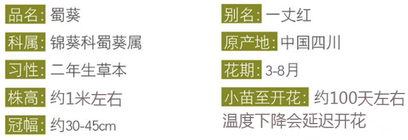 蜀葵种子厂家货源批发价格全国发货价格便宜欢迎下单咨询