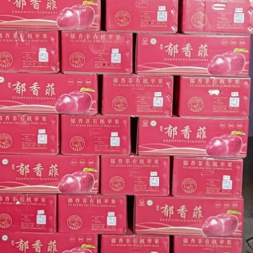 静宁苹果